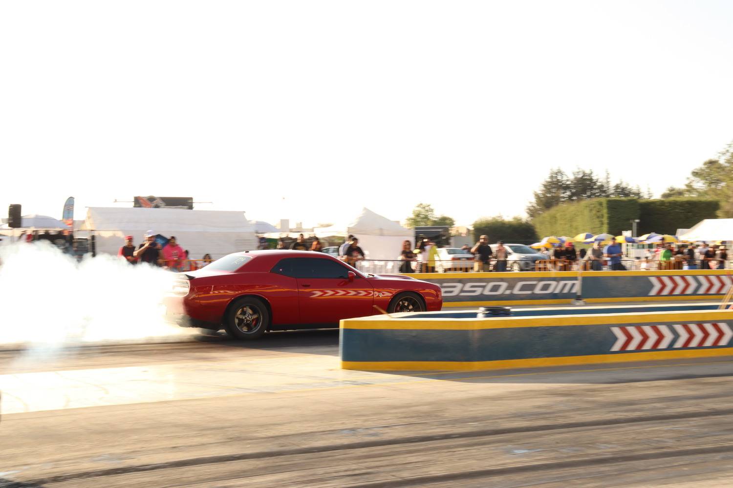 Photo #10492286