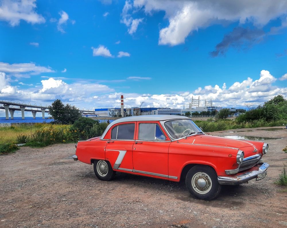 Волга на берегу залива.