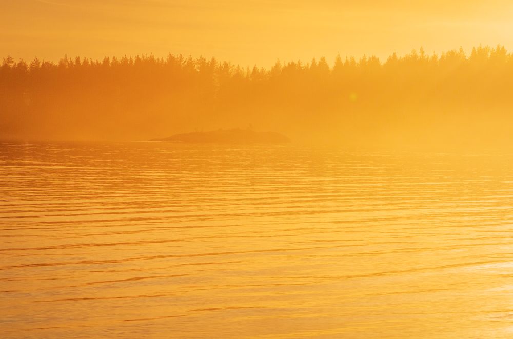 Photograph by NIKITA LUFEROV