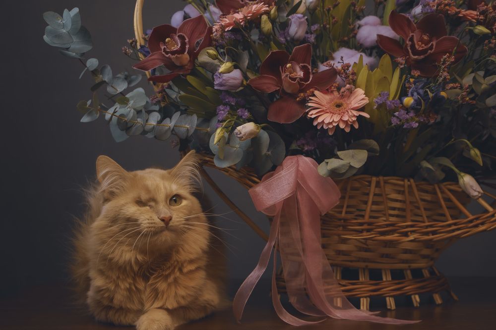 Photograph by Наталья Канарейкина