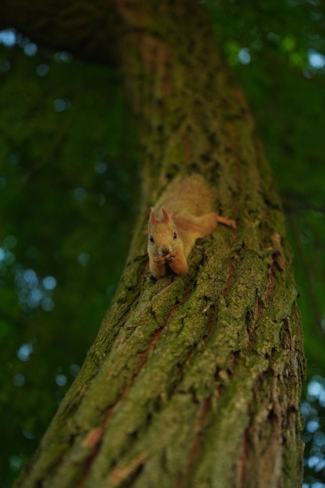 Photograph by Игорь Трухан