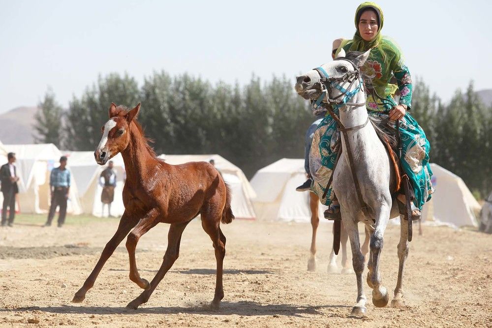 Photograph by mehdi karimi souderjani