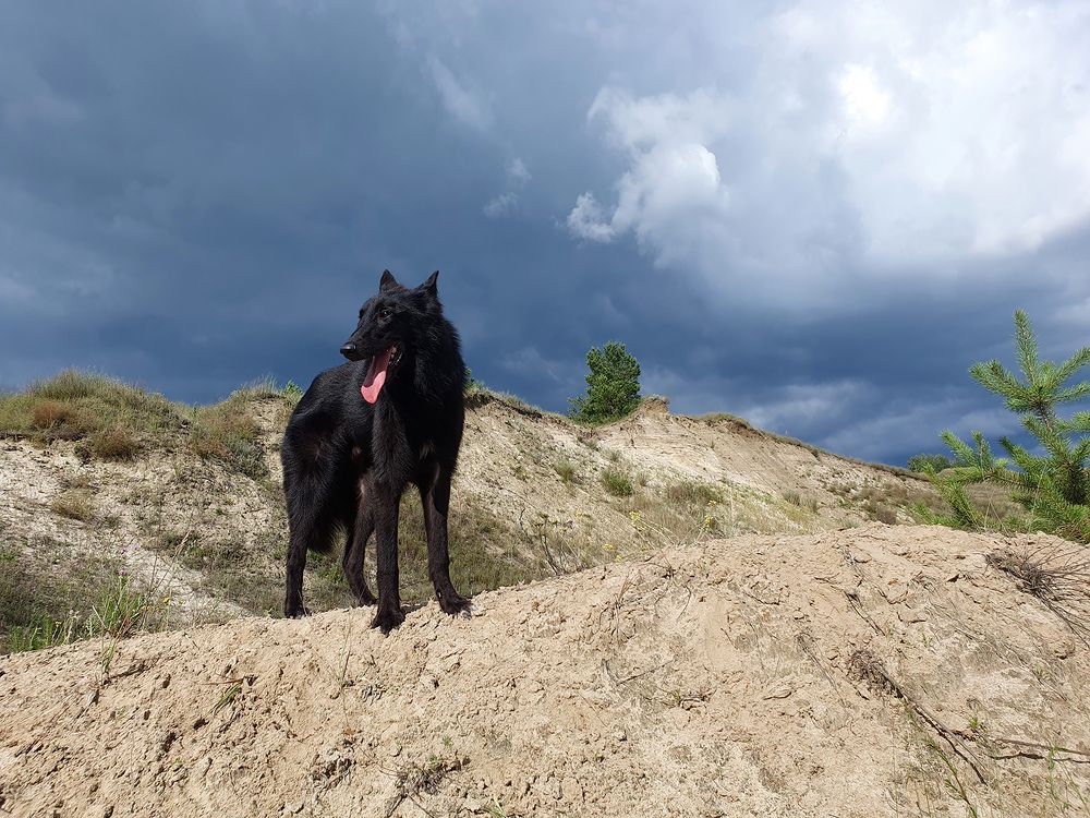 Часть этого мира.