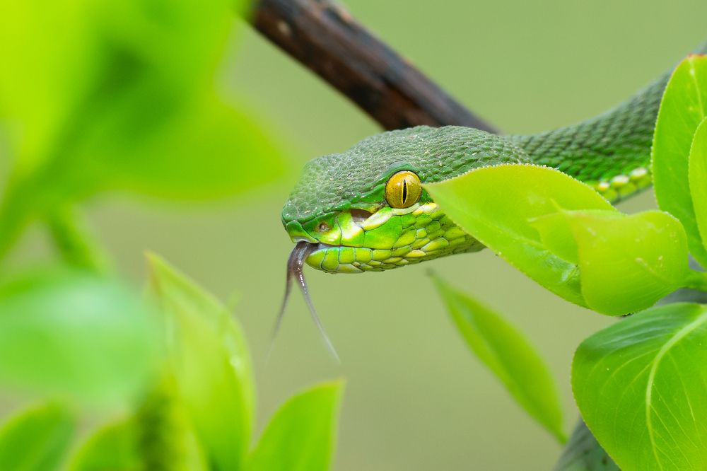 Photograph by Pinak Paul