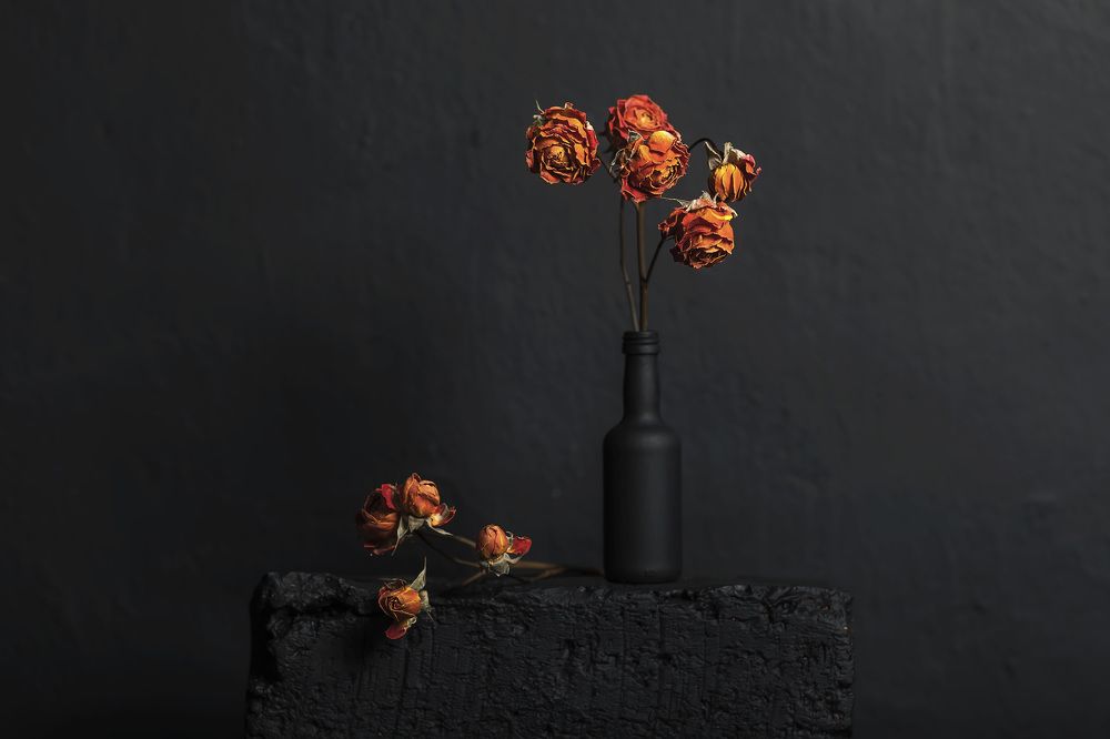 Photograph by Дмитрий Сундеев