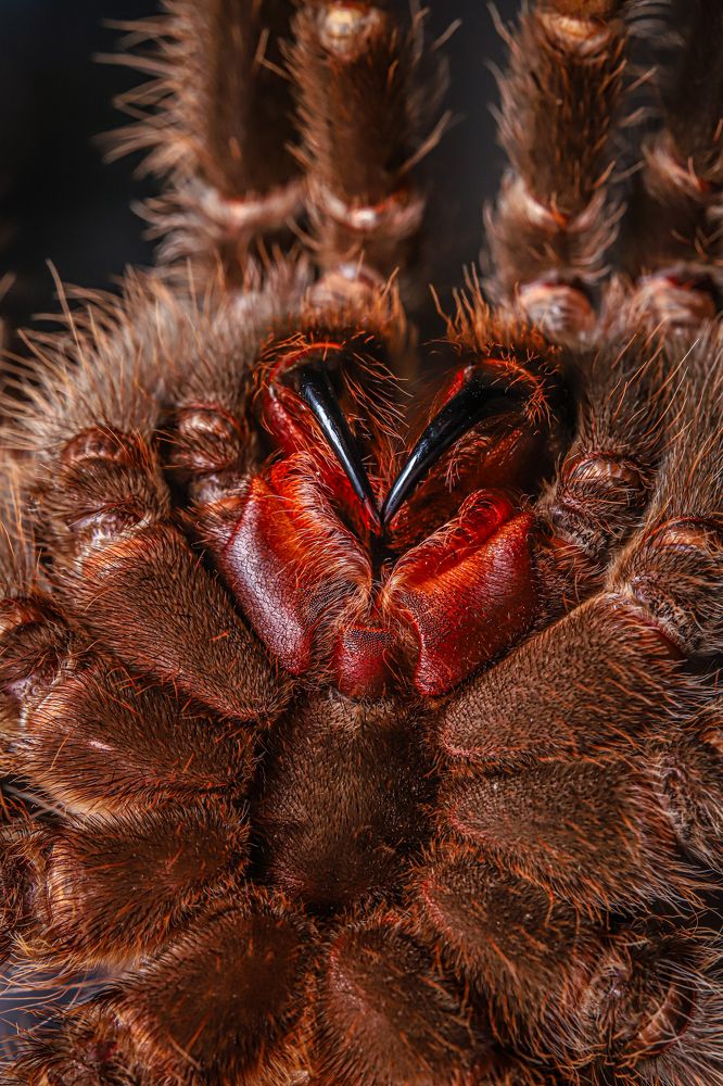 Photograph by Игорь Толкачев