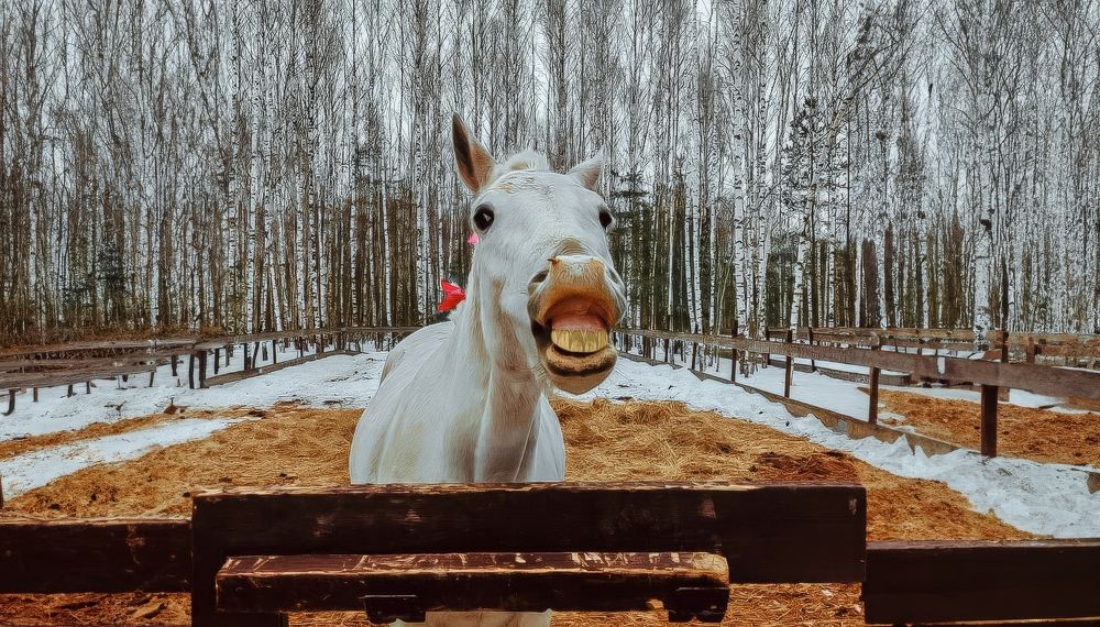 Photograph by Александр Катюрин