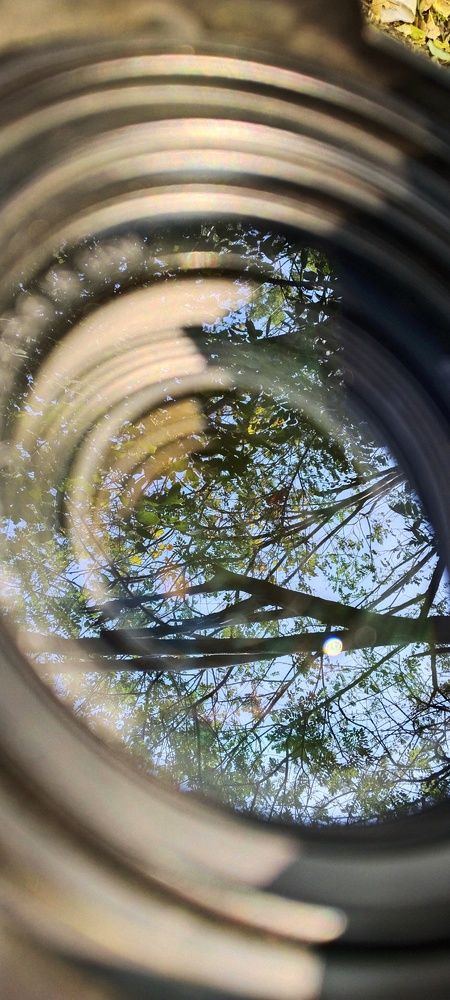 Photo #10492745