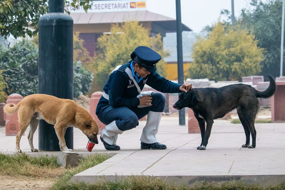 Photograph by Rajat Kashyap