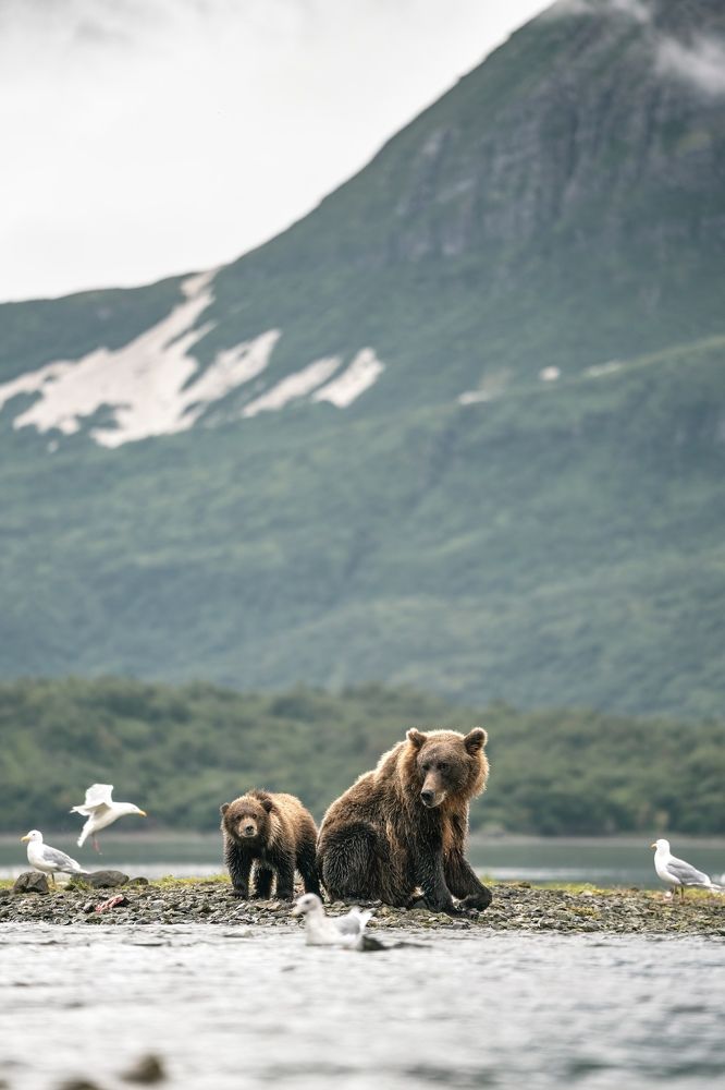 Photograph by Merche Llobera