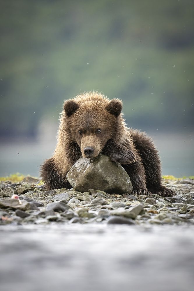 Photograph by Merche Llobera