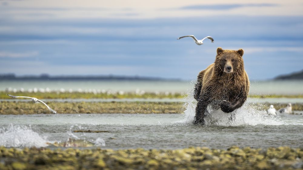 Photograph by Merche Llobera