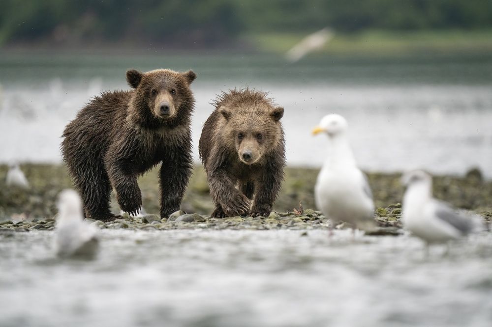 Photograph by Merche Llobera