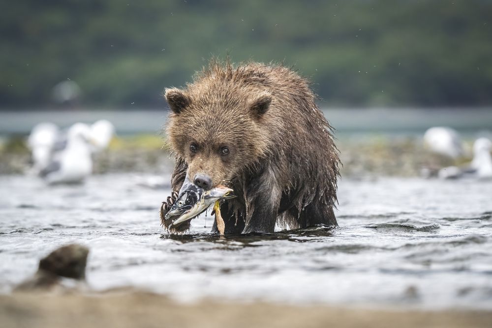 Photograph by Merche Llobera