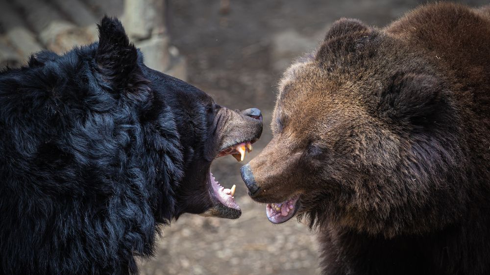 Photograph by Валентин Кольцов