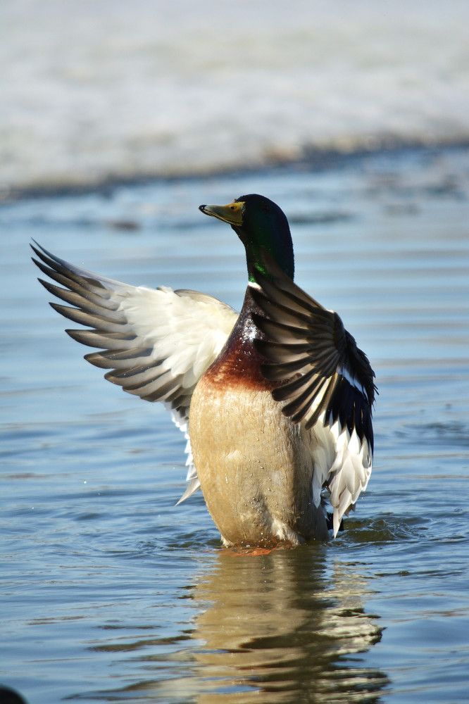 Photograph by Максим Владимирович