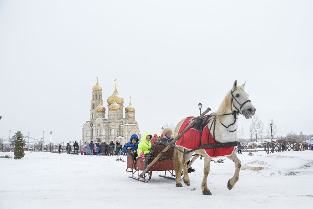 Photograph by наталья залогина