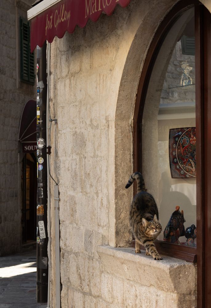 Photograph by Оксана Бочина