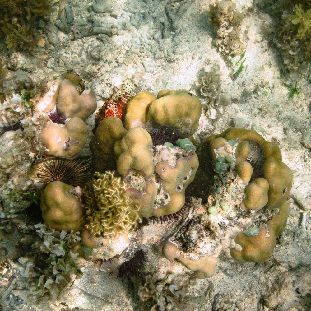 Photograph by Наталья Кокорина