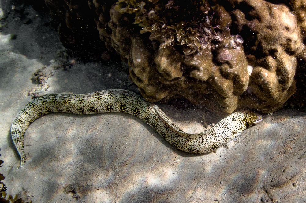 Photograph by Наталья Кокорина