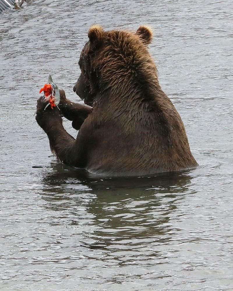 Photograph by Юрий