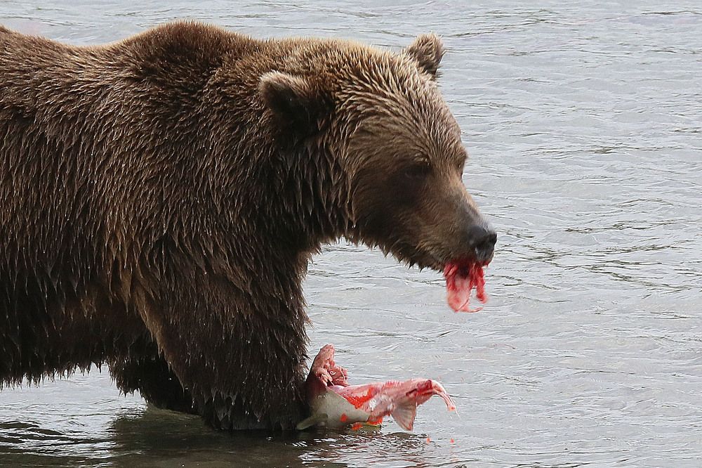 Photograph by Юрий