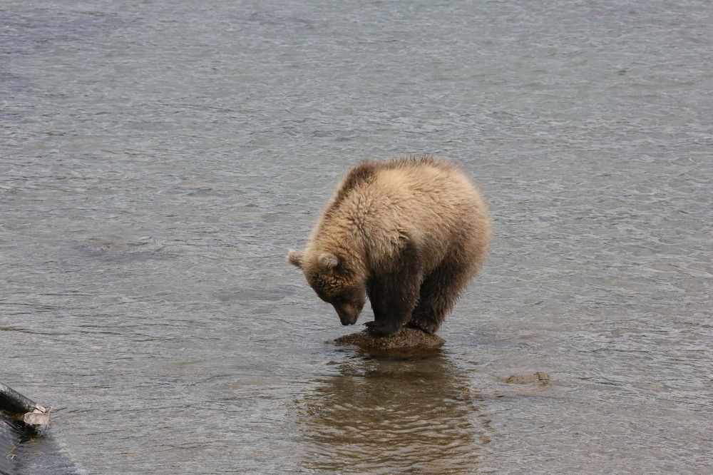 Photograph by Юрий