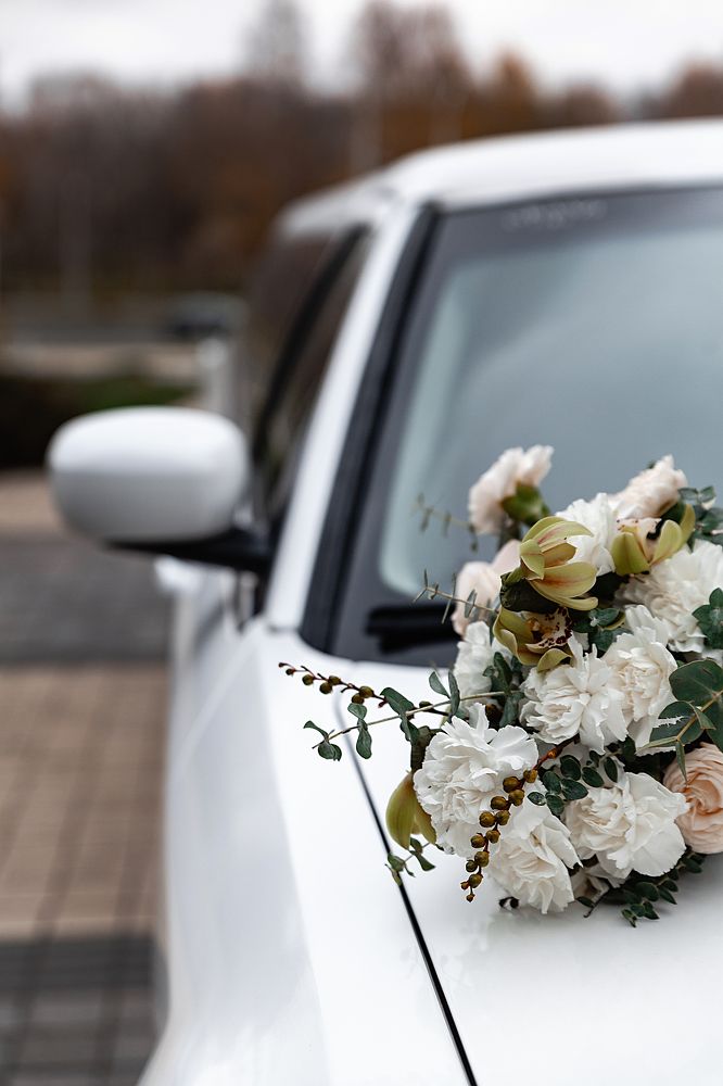 Photograph by Мария Корвин-Кучинская