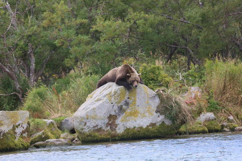 Photograph by Юрий