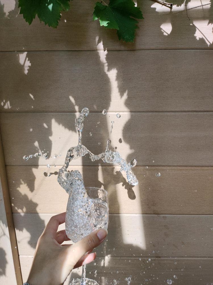 Photograph by Larisa Teshukova-Goretta