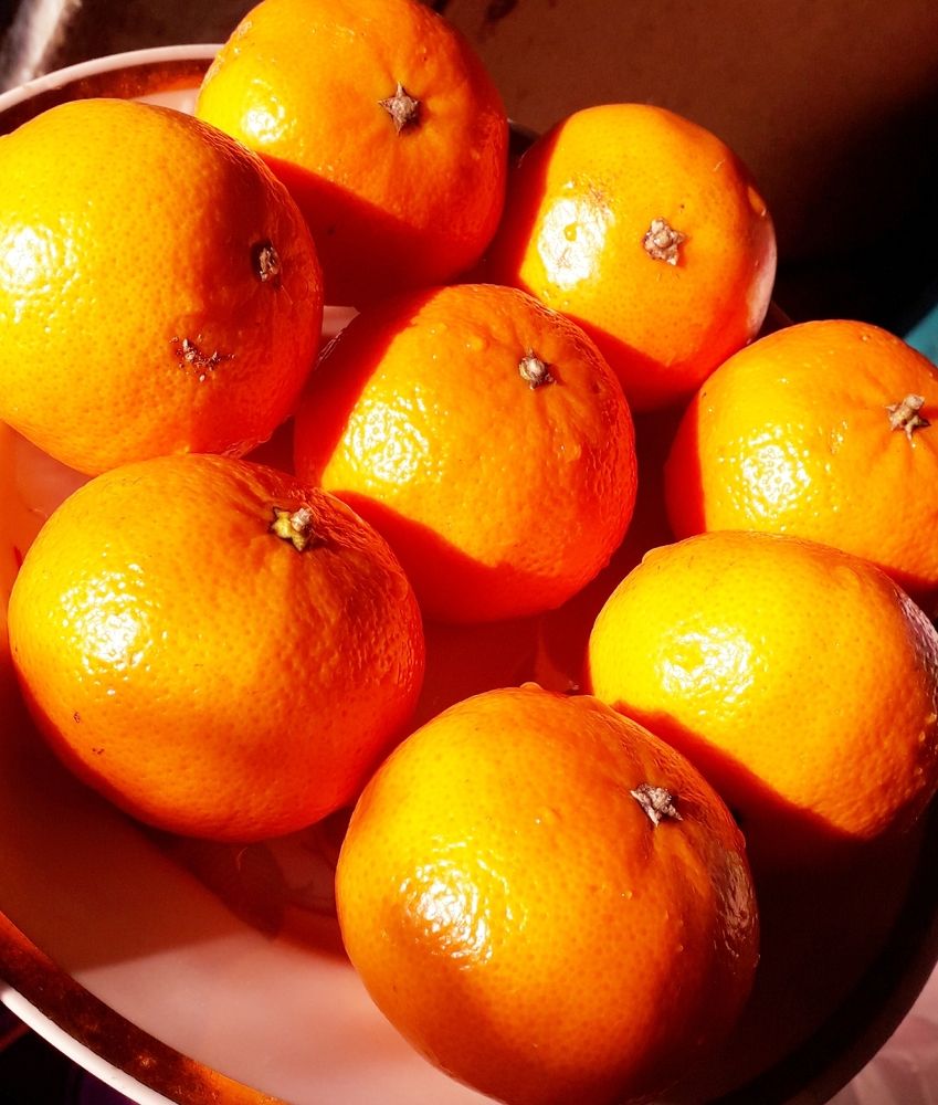 Photograph by Бутовец Алёна