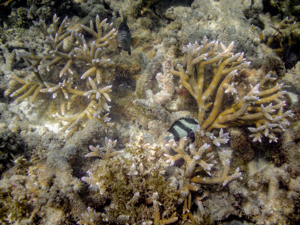 Photograph by Наталья Кокорина