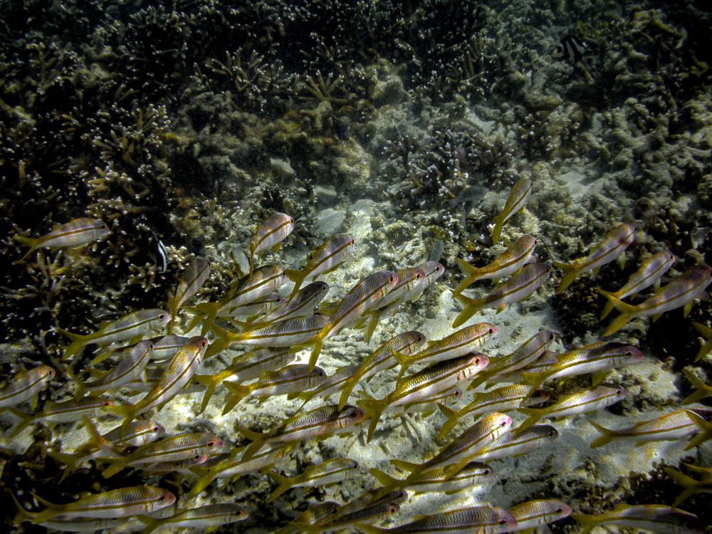 Photograph by Наталья Кокорина