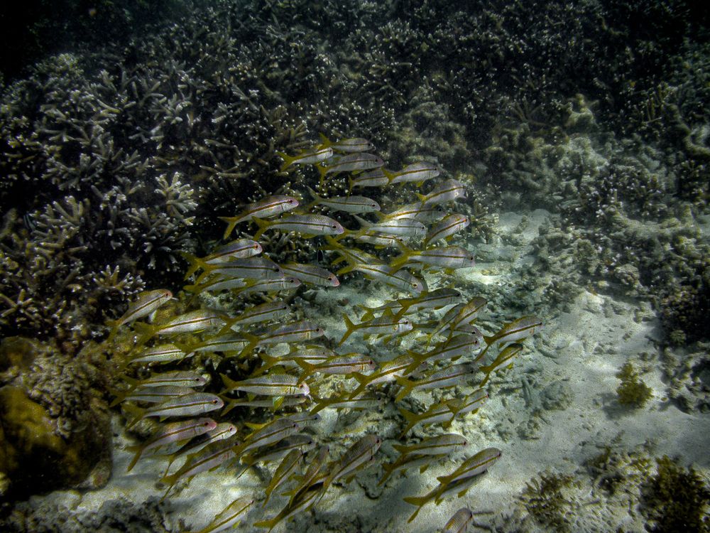 Photograph by Наталья Кокорина