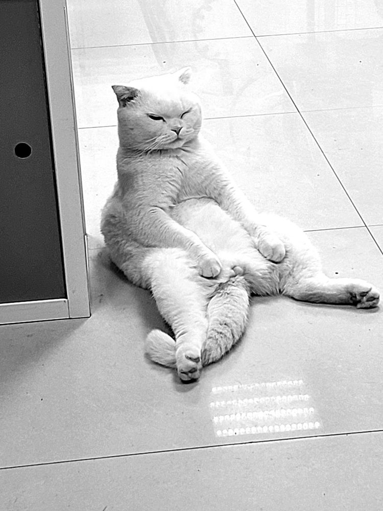 Photograph by Алёна Александровна