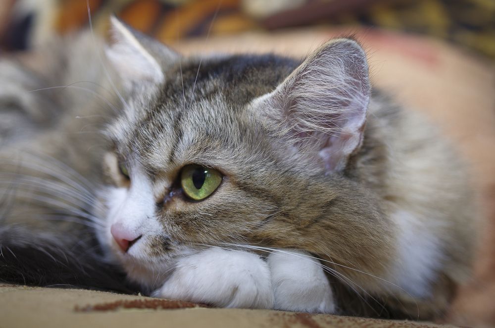 Photograph by Михаил Измайлов