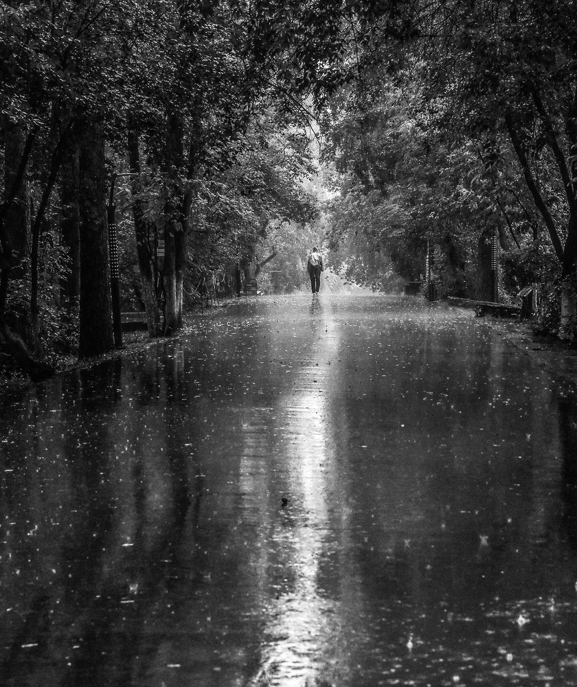 Photograph by Михаил Измайлов