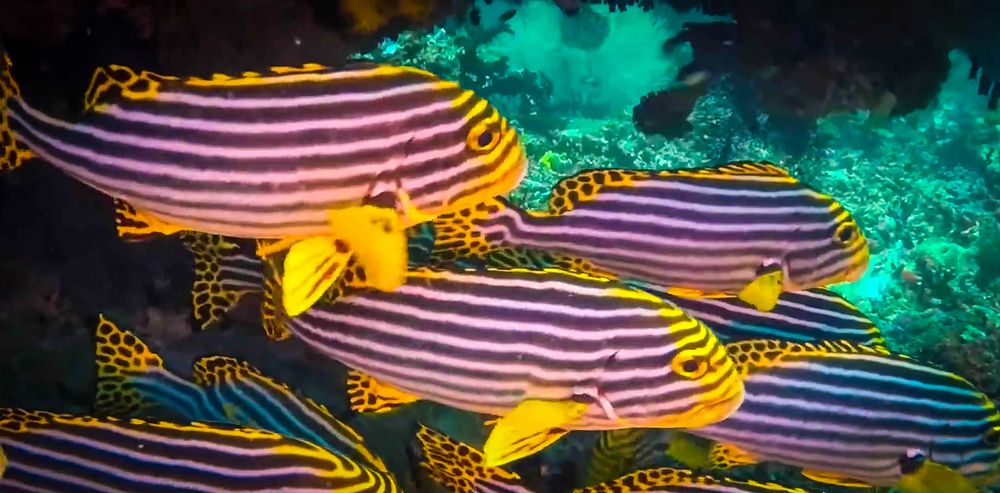 Photograph by Andrey Purtov