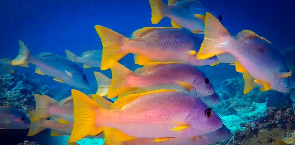 Photograph by Andrey Purtov