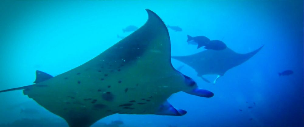 Photograph by Andrey Purtov