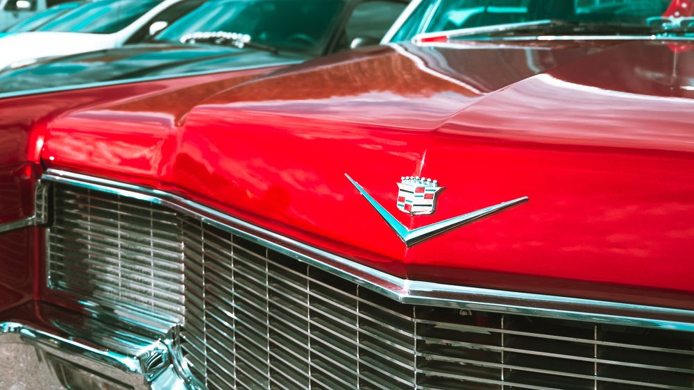 Photograph by Алиса