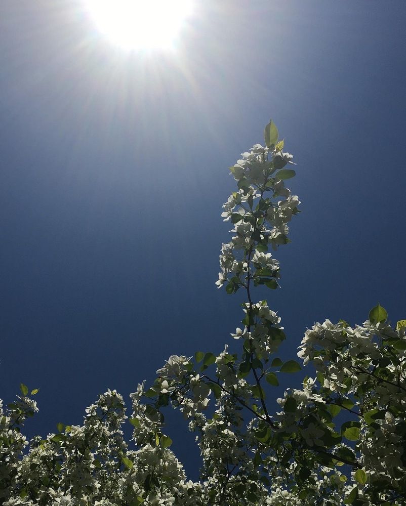 Осень-зима-весна