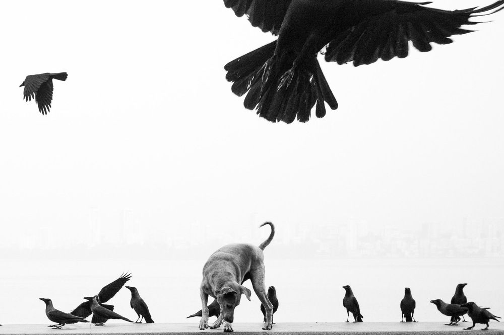 Photograph by Prachi Shetty