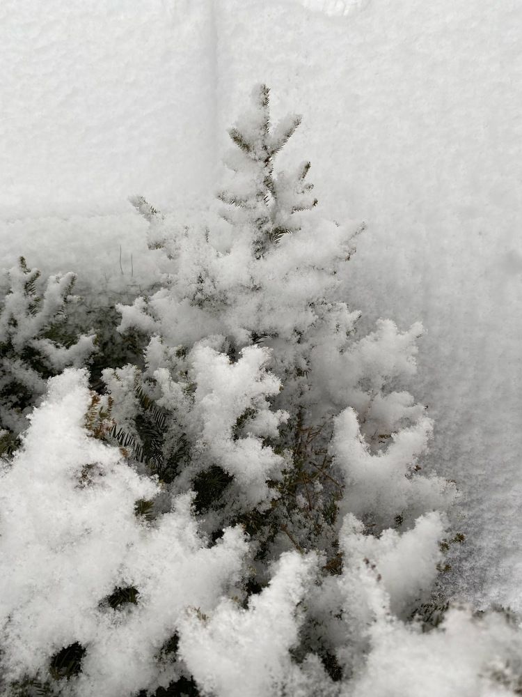 Белое на белом/’White on white’