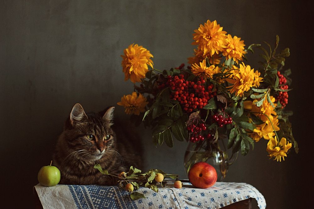 Photograph by Евсеева Валентина