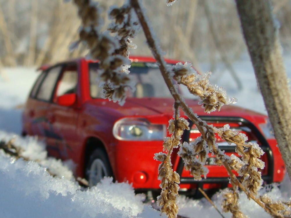 Фотография автора Павел Попов