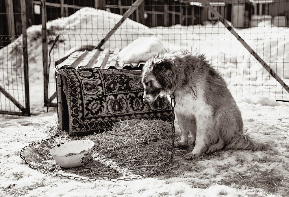 Фотография автора Андрей Жданов