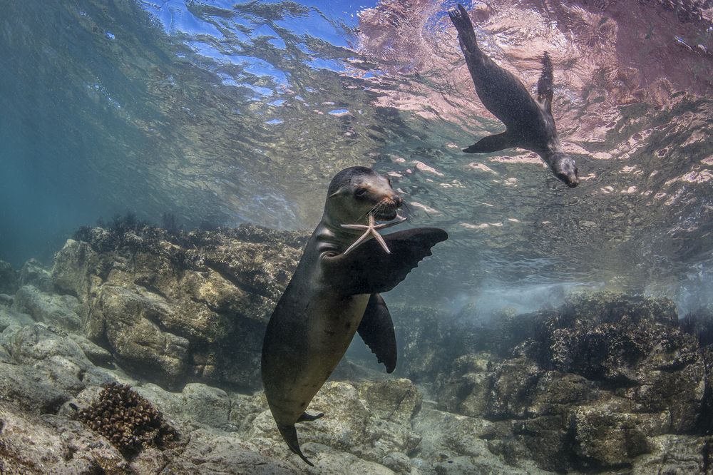 Photograph by Fabi Fregonesi