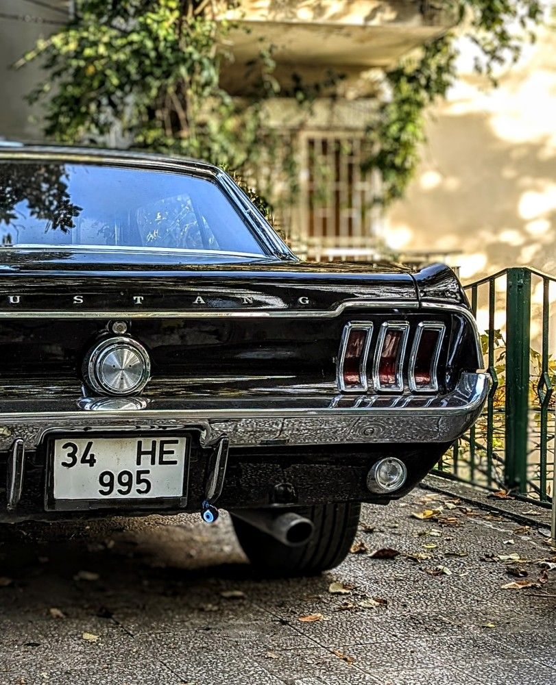 Photograph by Денис Терехин