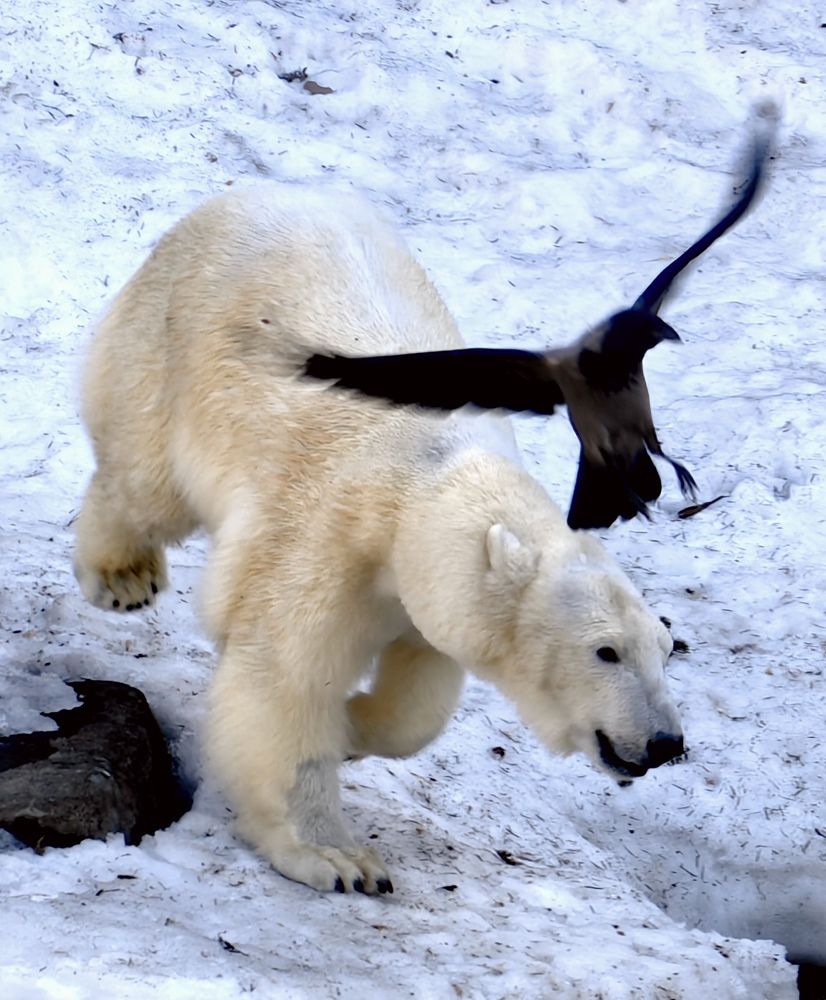 Photograph by Анна